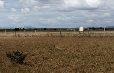 RESIDENTIAL PLOTS IN KITENGELA