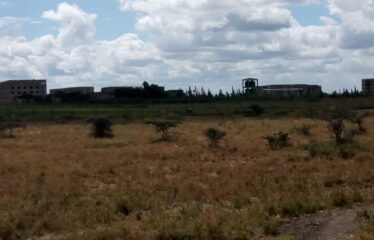 RESIDENTIAL PLOTS IN KITENGELA