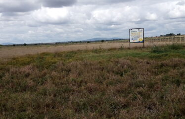 RESIDENTIAL PLOTS IN KITENGELA
