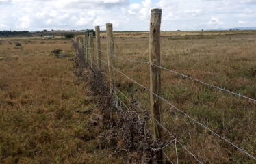 RESIDENTIAL PLOTS IN KITENGELA