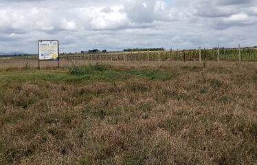 RESIDENTIAL PLOTS IN KITENGELA